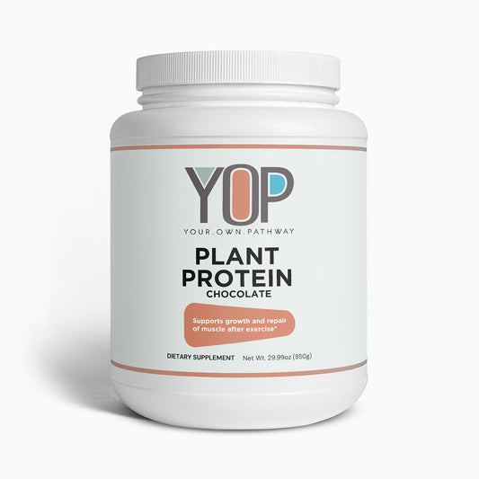 Plant Protein (Chocolate) 21g Protein Per Serv